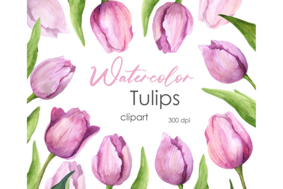 Discover the Beauty of Watercolor Floral Clipart: Pink Tulip Art