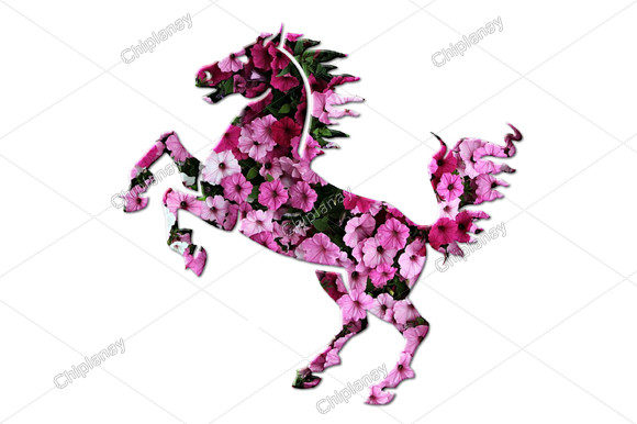 Horse Pony Animal Flowers Floral: A Versatile Design for Creative Projects